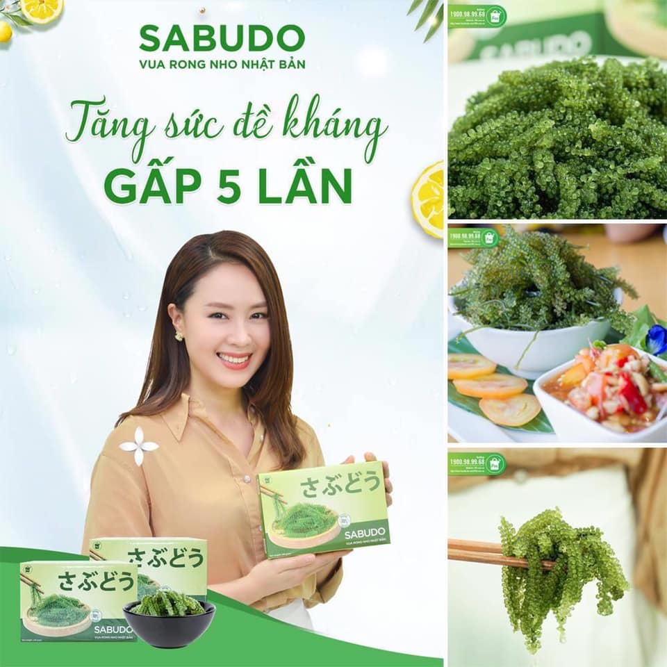 Phân phối rong nho tách nước Sabudo công nghệ Nhật Bản tại Đà Nẵng, Hồ Chí Minh, Hà Nội