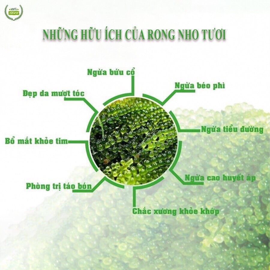 Rong nho tách nước YUKIBUDO túi 25 g [CHÍNH HÃNG], rong nho tách nước Công nghệ Nhật Bản, hoàn toàn tự nhiên 100%