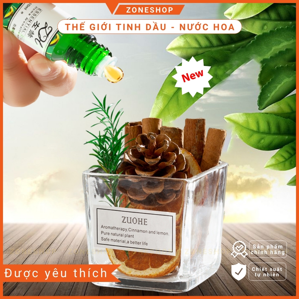 Nước hoa thơm phòng để bàn trang trí cây toả hương khuếch tán tinh dầu, cốc cây cảnh toả hương thơm trang trí trên bàn