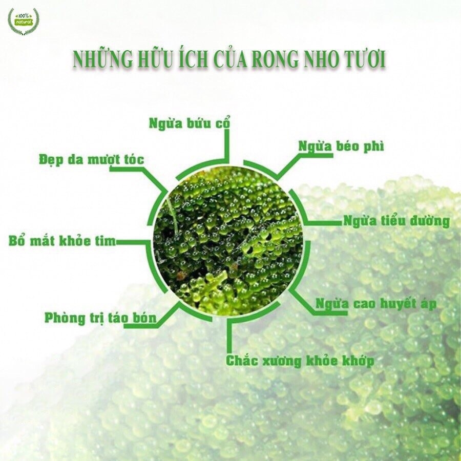 [CHÍNH HÃNG] Rong nho tách nước YUKIBUDO, rong nho tách nước CN Nhật Bản, rong kho yukibudo, hoàn toàn tự nhiên 100%