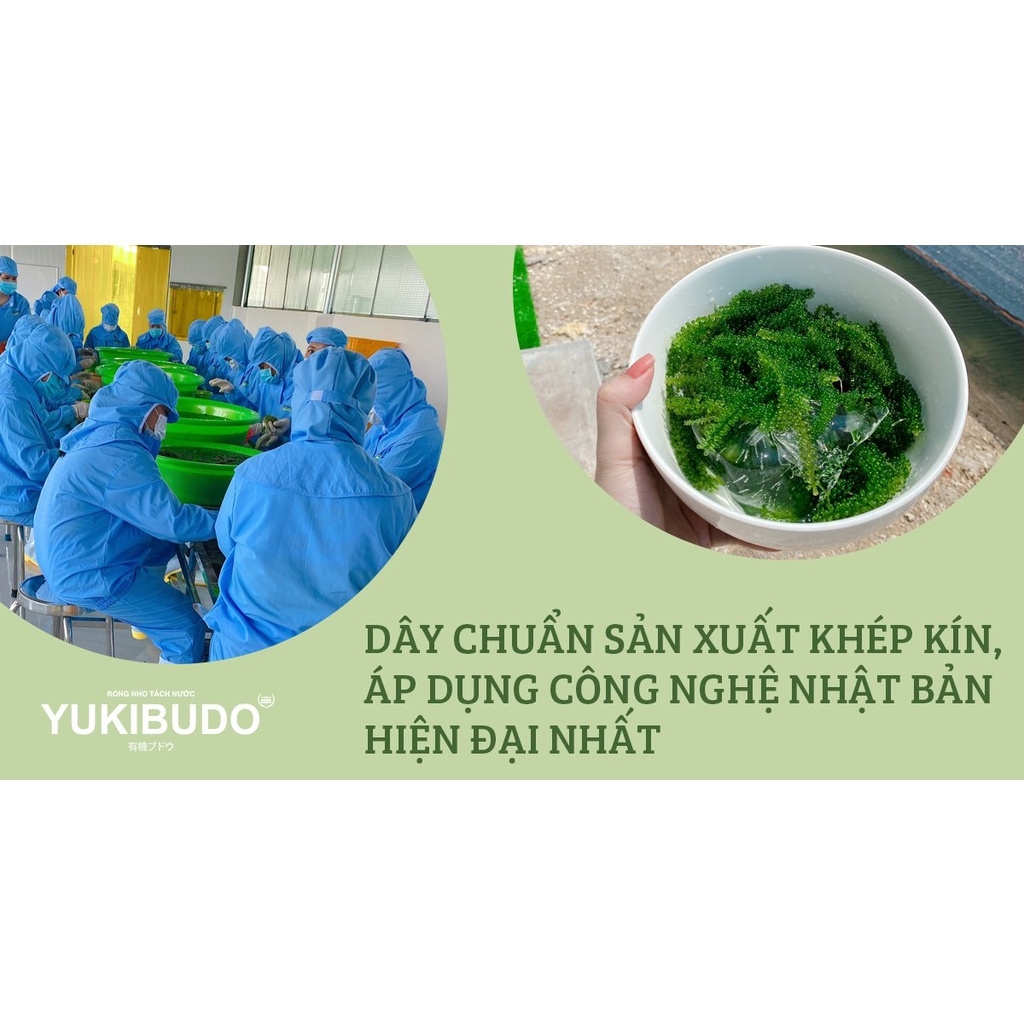 Rong nho tách nước YUKIBUDO túi 25 g [CHÍNH HÃNG], rong nho tách nước Công nghệ Nhật Bản, hoàn toàn tự nhiên 100%