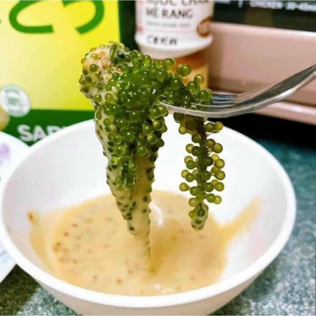 [CHÍNH HÃNG] COMBO 1 Hộp Rong nho tách nước SABUDO và 1 Chai xốt mè rang, vua rong nho Nhật Bản, rong nho Sabudo