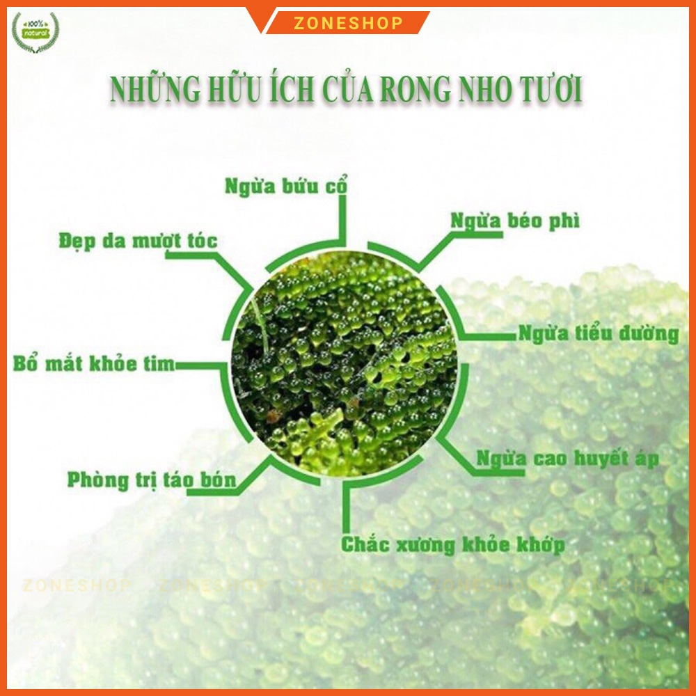 [NEW] Rong nho tách nước YUKIBUDO [GÓI LẺ] tặng nước xốt mè rang - Rong nho CN Nhật Bản Yukibudo [ZONESHOP]